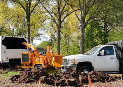 Ofilio Tree Service