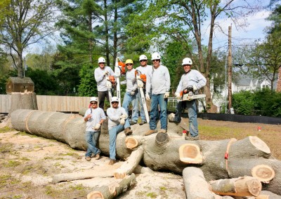 Employees On Oak Tree