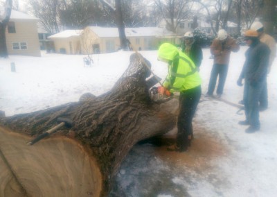 Tree Cutting